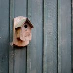 Photo wooden pedant lamp