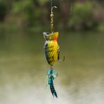 Photo Fishing pendant lamp