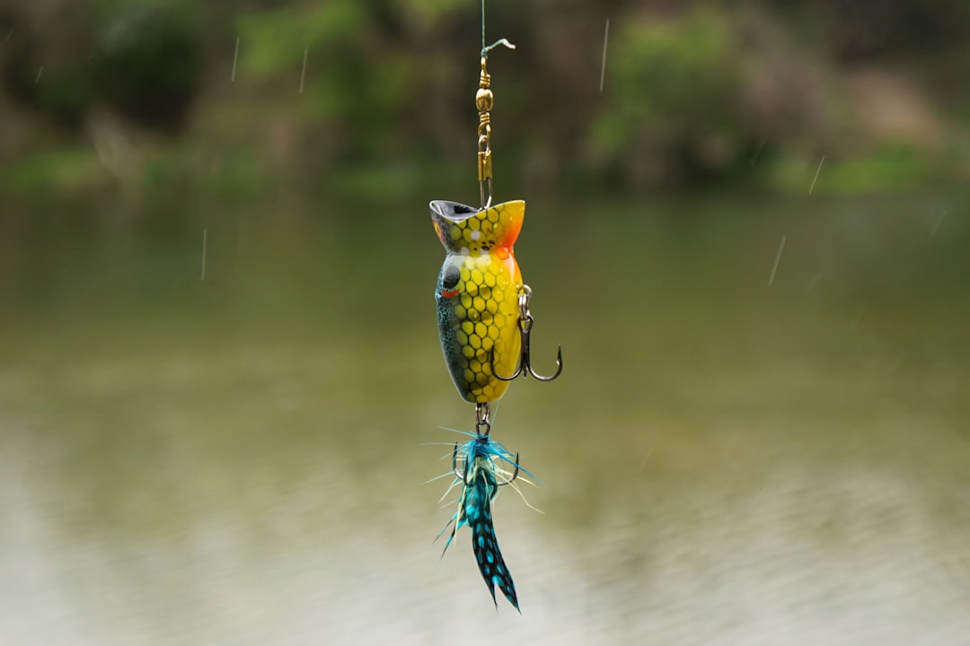 Photo Fishing pendant lamp