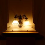 Photo Entomology Desk Lamp