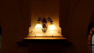 Photo Entomology Desk Lamp